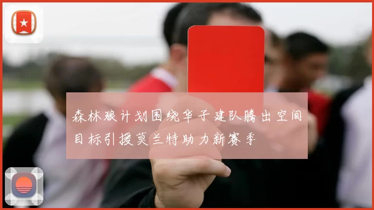 森林狼计划围绕华子建队腾出空间目标引援莫兰特助力新赛季